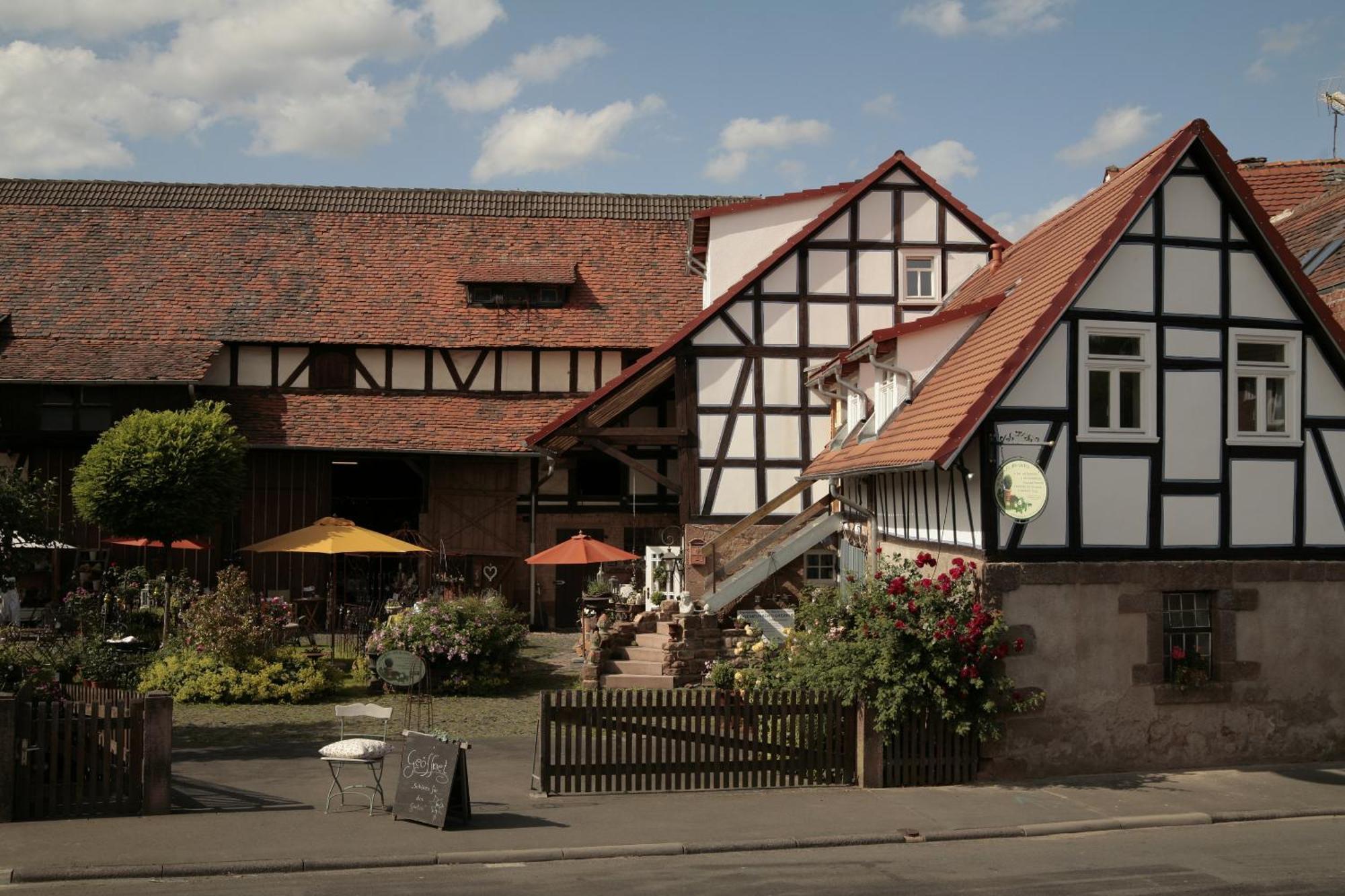 Werts Hof Ferienwohnen Villa Rauschenberg Exterior foto
